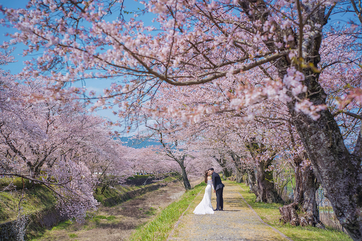 海外婚攝提案 - 日本篇