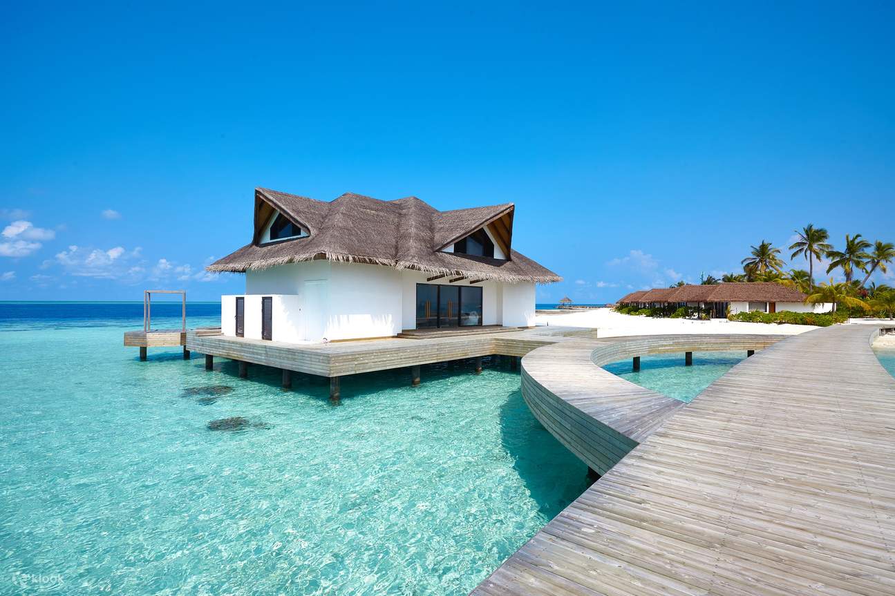 ⽯垣島（Ishigaki）