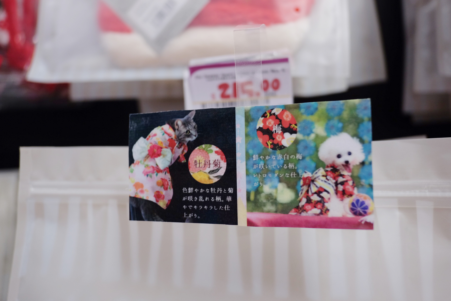 【婚攝必備】Donki Pre-wedding扮靚篇!15大Pre-wedding必備物資清單!
