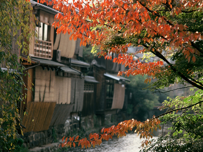 日本紅葉婚攝