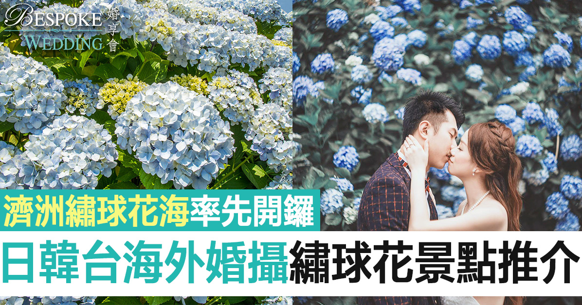 【韓國婚攝】日韓台繡球花花海盛開！