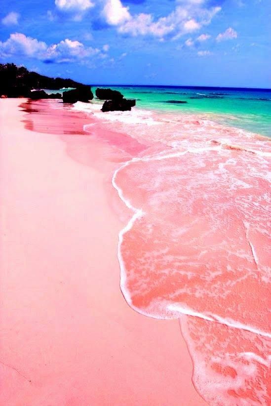 【世界10大粉紅沙灘/粉紅色湖💖】✨少女心爆發，浪漫絕美蜜月首選地✨