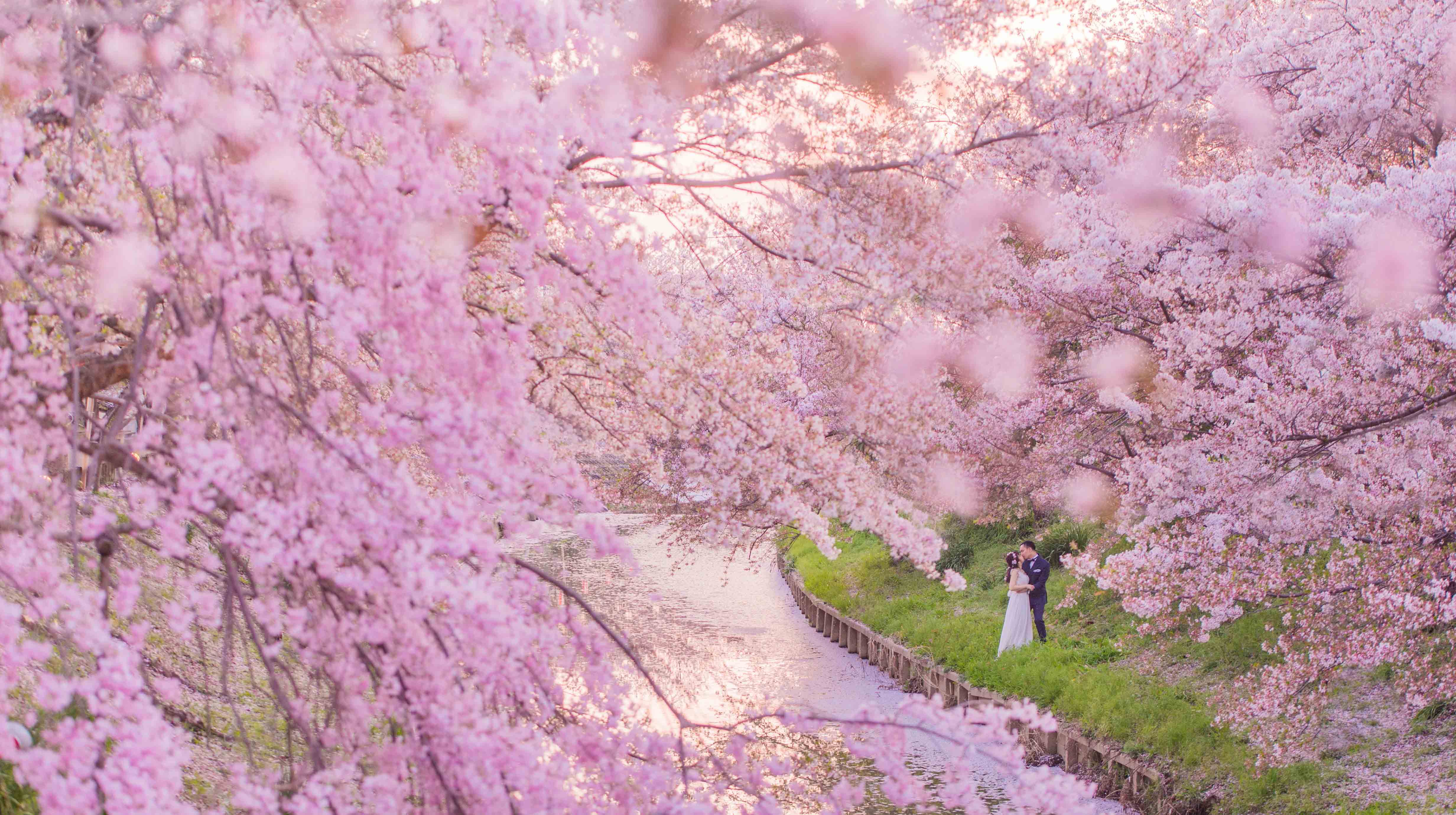 日本婚攝