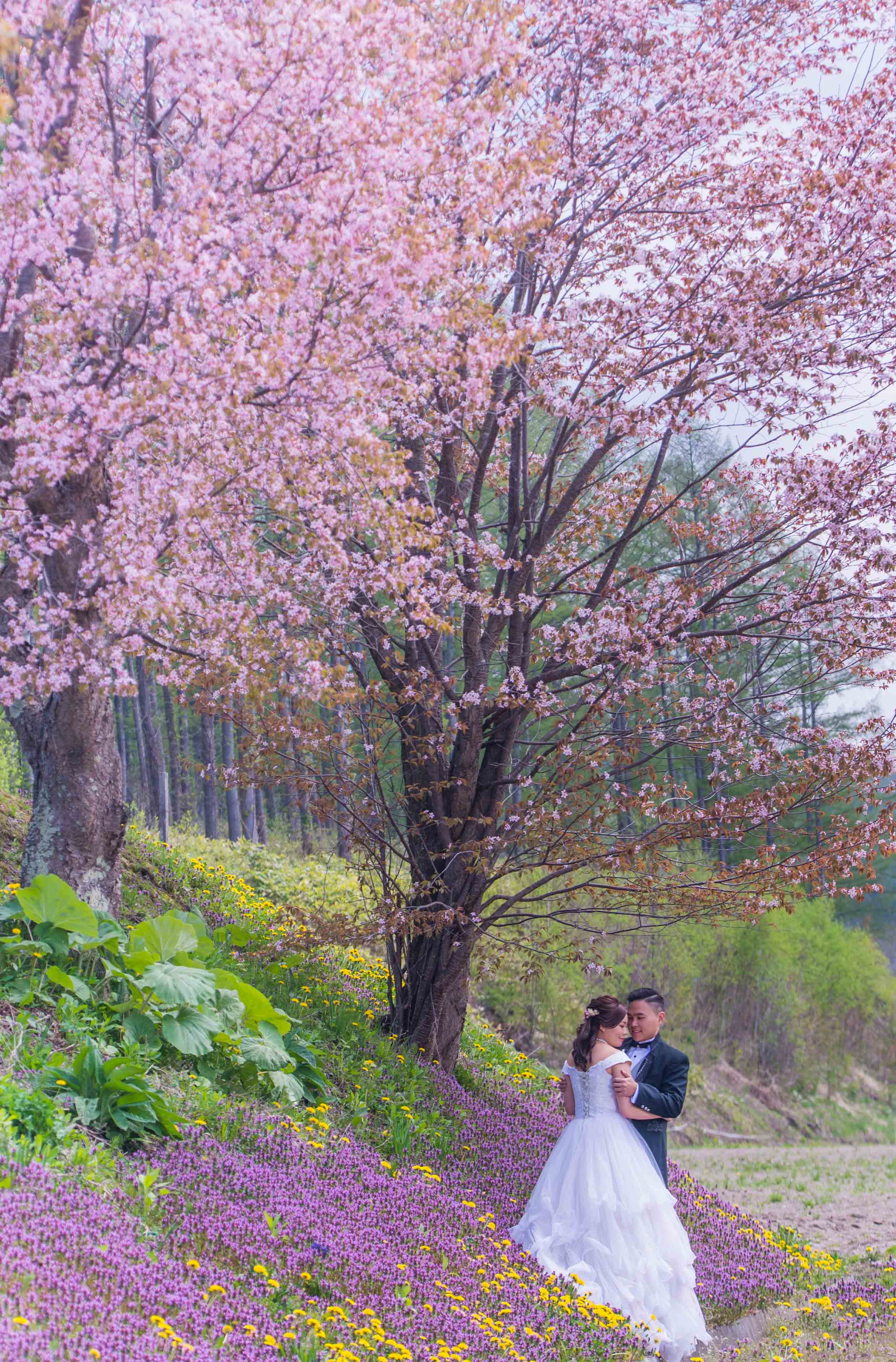 日本婚攝