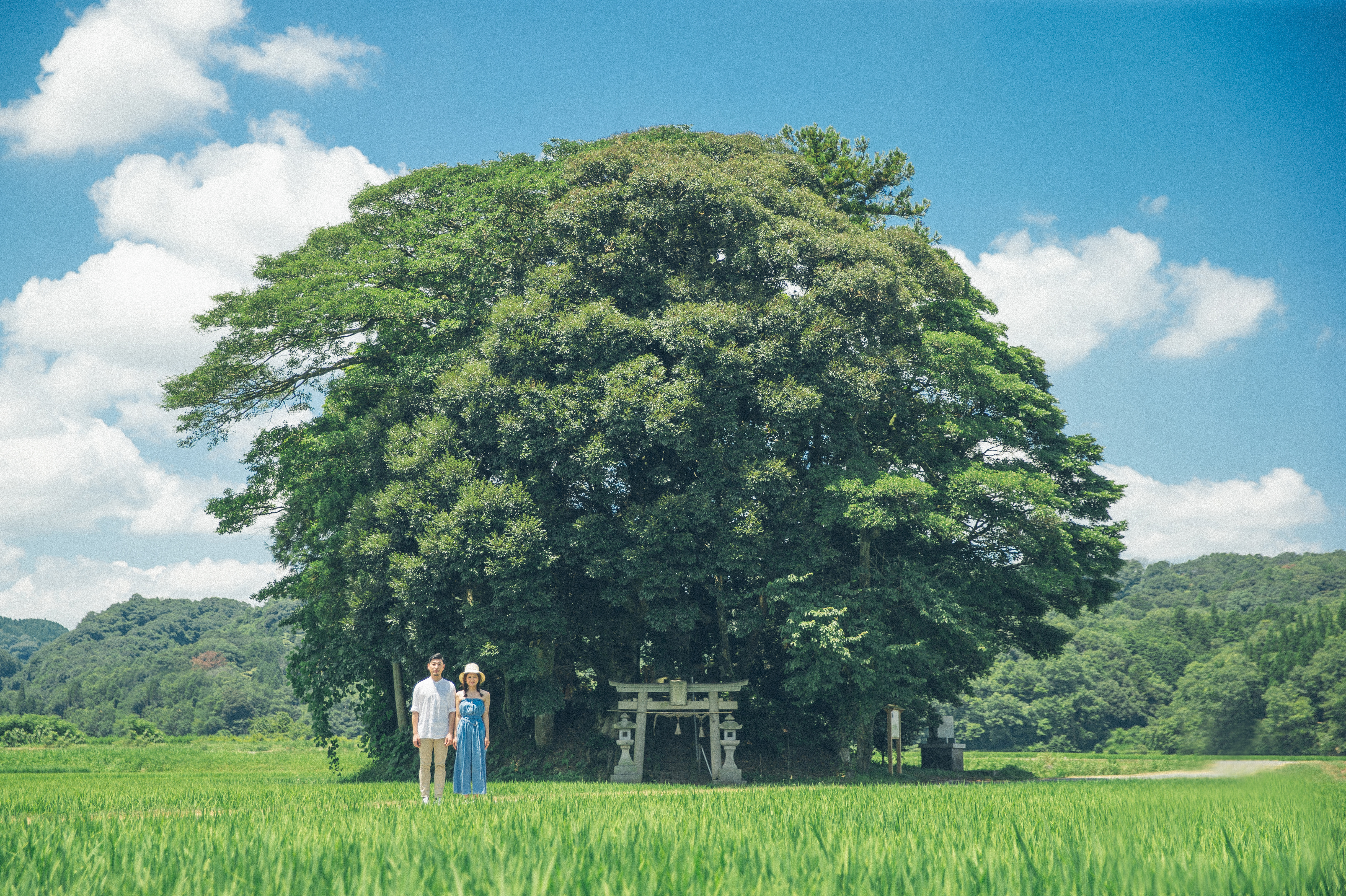 鳥取婚攝