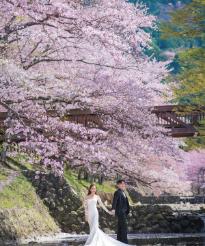 【海外婚攝提案 - 日本篇】推介5間人氣專業婚攝商戶！早鳥優惠勁減$2000+送免費住宿，帶你體驗真正旅拍！