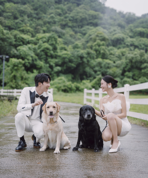 【寵物婚紗攝影】 一個都不能少，攬住毛孩一齊黎影婚紗相啦!